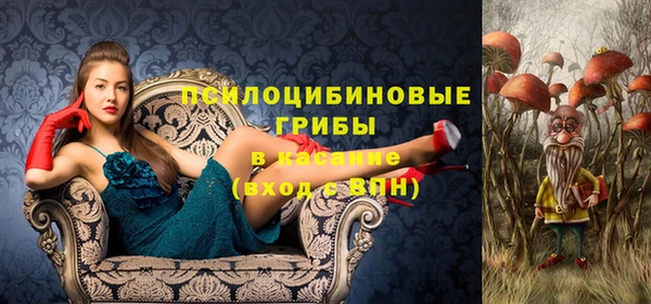 ПСИЛОЦИБИНОВЫЕ ГРИБЫ Верхний Тагил