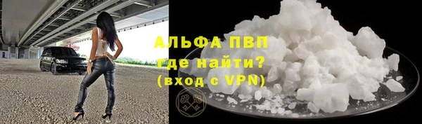 ПСИЛОЦИБИНОВЫЕ ГРИБЫ Верхний Тагил