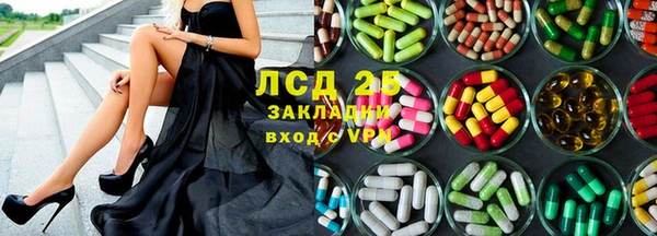 apvp Верея