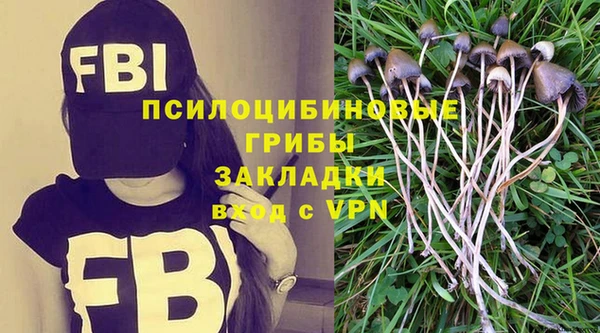 ПСИЛОЦИБИНОВЫЕ ГРИБЫ Верхний Тагил