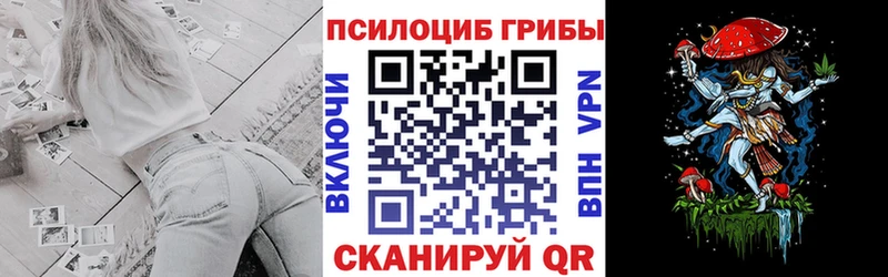 купить наркоту Кочубеевское Псилоцибиновые грибы мицелий